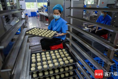 中秋月餅飄香忙 ?？谑称窂S開足馬力備戰佳節