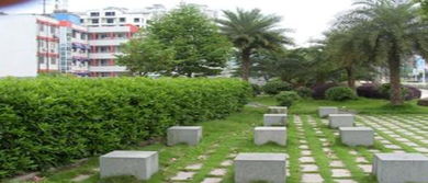 工廠綠化施工與養(yǎng)護服務(wù) 打造綠色生態(tài)工業(yè)環(huán)境