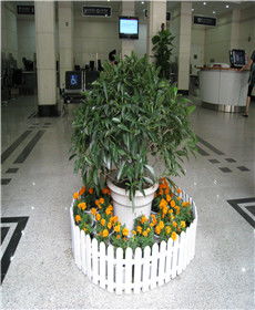 湖北植物租擺租賃 同城優(yōu)選與專業(yè)養(yǎng)護(hù)服務(wù)誠薦